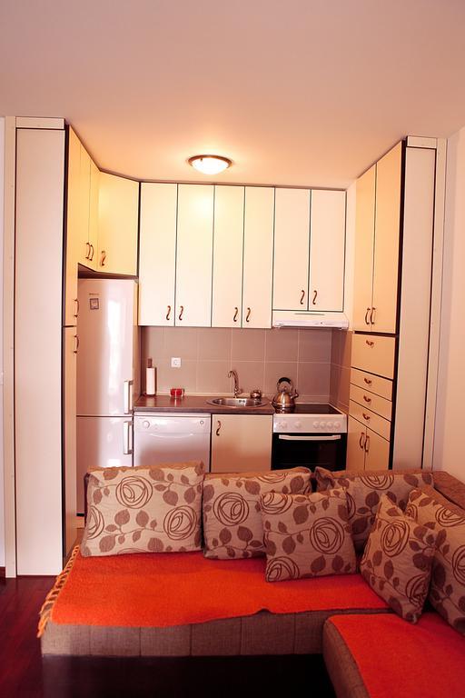 Studio Apartment Nika Andusa Petrovac Rum bild