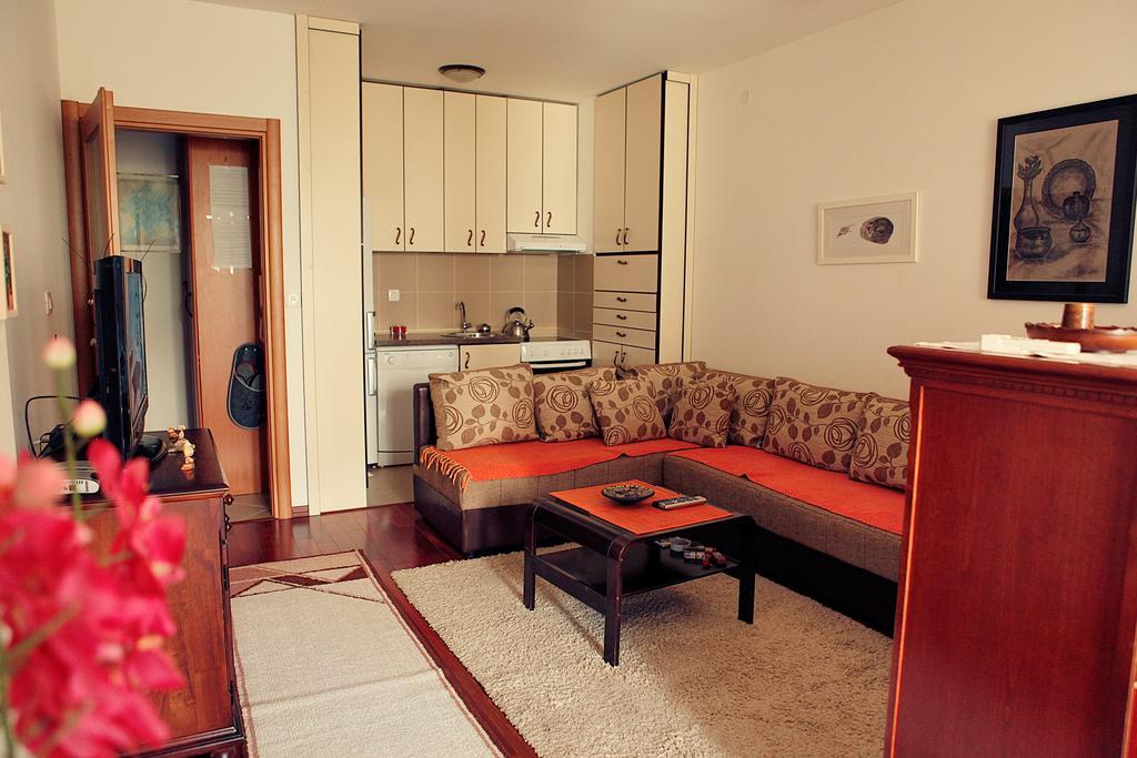 Studio Apartment Nika Andusa Petrovac Rum bild
